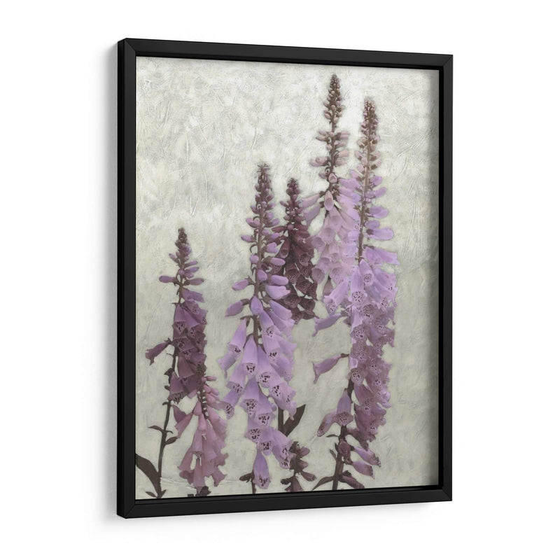 Foxgloves No Adornados I - Chariklia Zarris | Cuadro decorativo de Canvas Lab