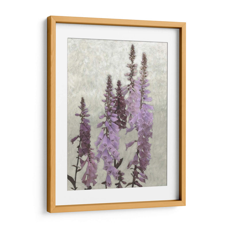 Foxgloves No Adornados I - Chariklia Zarris | Cuadro decorativo de Canvas Lab