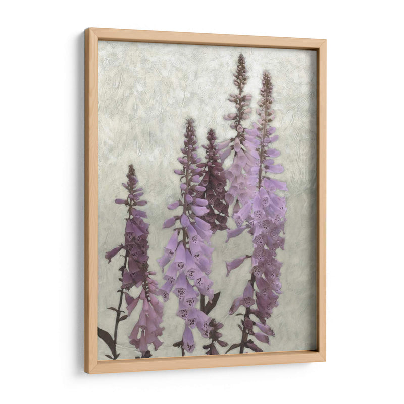 Foxgloves No Adornados I - Chariklia Zarris | Cuadro decorativo de Canvas Lab