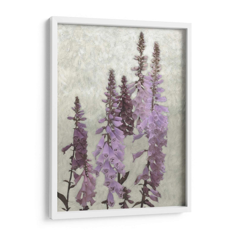 Foxgloves No Adornados I - Chariklia Zarris | Cuadro decorativo de Canvas Lab