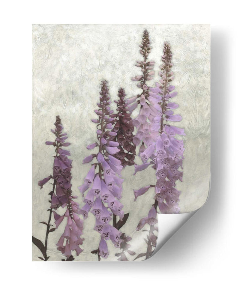 Foxgloves No Adornados I - Chariklia Zarris | Cuadro decorativo de Canvas Lab