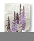 Foxgloves No Adornados I - Chariklia Zarris | Cuadro decorativo de Canvas Lab