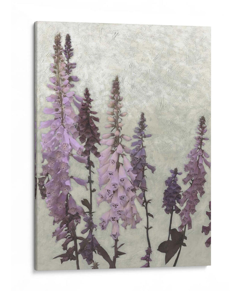 Foxgloves No Adornados Ii - Chariklia Zarris | Cuadro decorativo de Canvas Lab