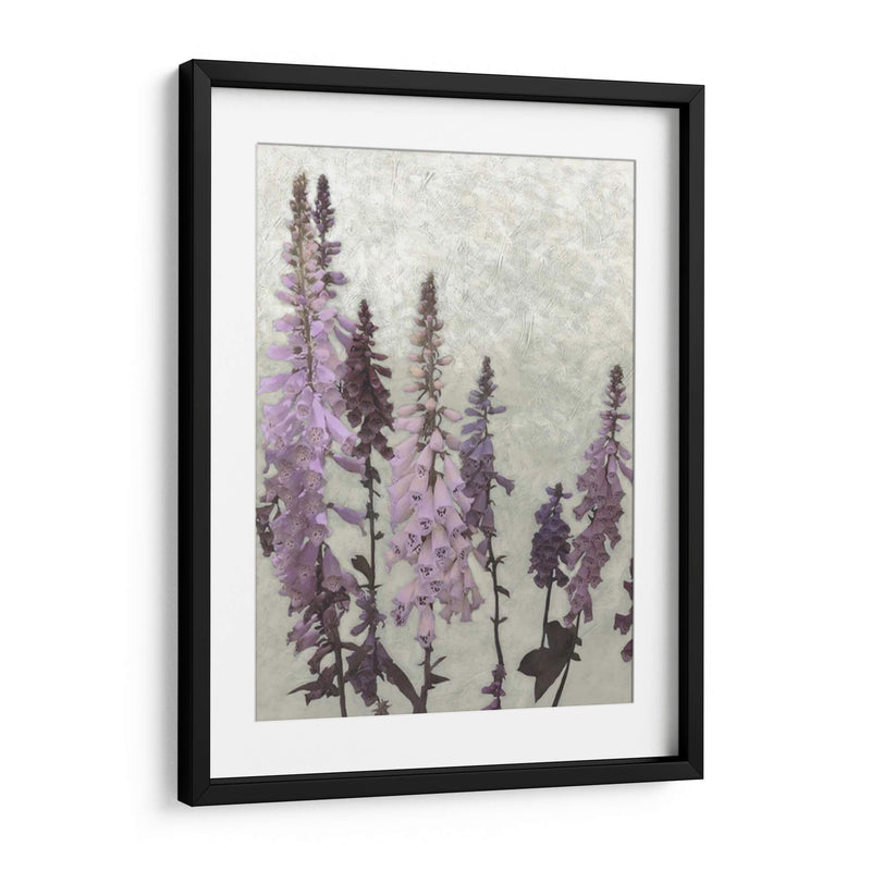 Foxgloves No Adornados Ii - Chariklia Zarris | Cuadro decorativo de Canvas Lab