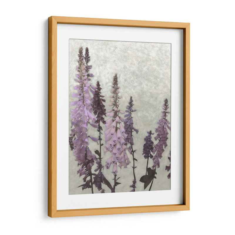 Foxgloves No Adornados Ii - Chariklia Zarris | Cuadro decorativo de Canvas Lab