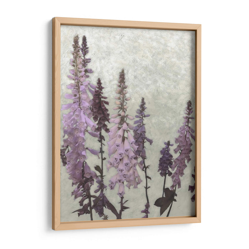 Foxgloves No Adornados Ii - Chariklia Zarris | Cuadro decorativo de Canvas Lab