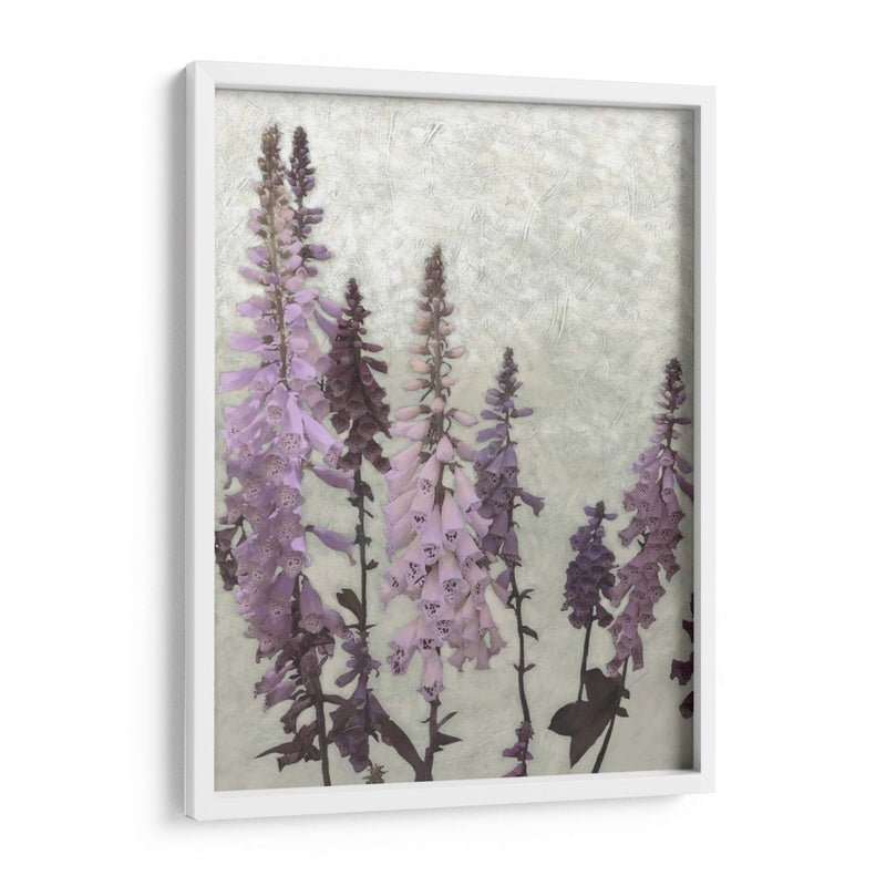 Foxgloves No Adornados Ii - Chariklia Zarris | Cuadro decorativo de Canvas Lab