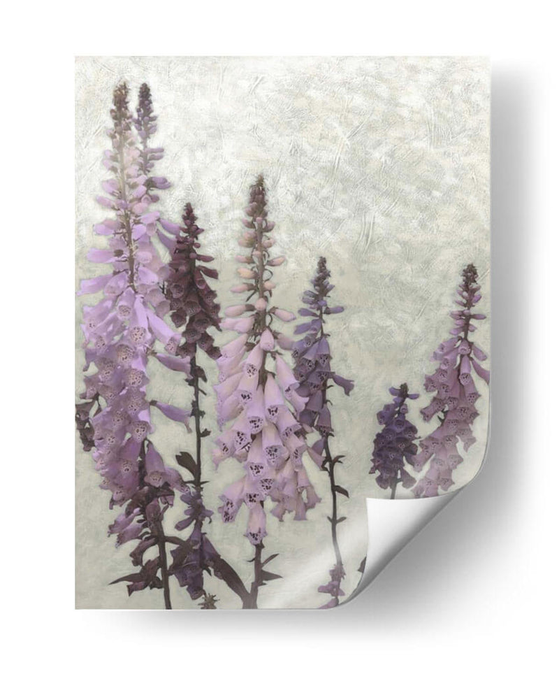 Foxgloves No Adornados Ii - Chariklia Zarris | Cuadro decorativo de Canvas Lab