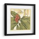 Floraciones Tropicales Y Follaje Ii. - Jennifer Goldberger | Cuadro decorativo de Canvas Lab