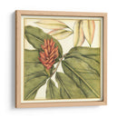 Floraciones Tropicales Y Follaje Ii. - Jennifer Goldberger | Cuadro decorativo de Canvas Lab
