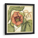 Floraciones Tropicales Y Follaje Iv - Jennifer Goldberger | Cuadro decorativo de Canvas Lab