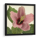 Visión Tropical Ii - Vision Studio | Cuadro decorativo de Canvas Lab