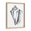 Ua Ch Shell Bosquejo I - Ethan Harper | Cuadro decorativo de Canvas Lab