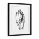 Ua Ch Shell Sketch Ii - Ethan Harper | Cuadro decorativo de Canvas Lab