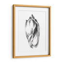 Ua Ch Shell Sketch Ii - Ethan Harper | Cuadro decorativo de Canvas Lab
