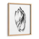 Ua Ch Shell Sketch Ii - Ethan Harper | Cuadro decorativo de Canvas Lab