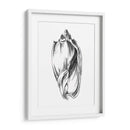 Ua Ch Shell Sketch Ii - Ethan Harper | Cuadro decorativo de Canvas Lab