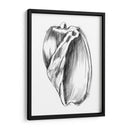 Ua Ch Shell Bosquejo Iii - Ethan Harper | Cuadro decorativo de Canvas Lab