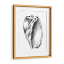 Ua Ch Shell Bosquejo Iii - Ethan Harper | Cuadro decorativo de Canvas Lab