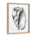 Ua Ch Shell Bosquejo Iii - Ethan Harper | Cuadro decorativo de Canvas Lab