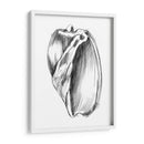 Ua Ch Shell Bosquejo Iii - Ethan Harper | Cuadro decorativo de Canvas Lab