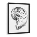 Ua Ch Shell Bosquejo Iv - Ethan Harper | Cuadro decorativo de Canvas Lab