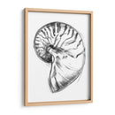 Ua Ch Shell Bosquejo Iv - Ethan Harper | Cuadro decorativo de Canvas Lab