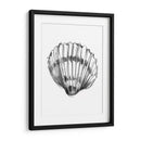 Ua Ch Shell Sketch Vi - Ethan Harper | Cuadro decorativo de Canvas Lab