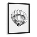 Ua Ch Shell Sketch Vi - Ethan Harper | Cuadro decorativo de Canvas Lab