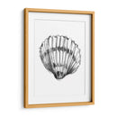Ua Ch Shell Sketch Vi - Ethan Harper | Cuadro decorativo de Canvas Lab