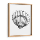 Ua Ch Shell Sketch Vi - Ethan Harper | Cuadro decorativo de Canvas Lab