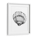 Ua Ch Shell Sketch Vi - Ethan Harper | Cuadro decorativo de Canvas Lab