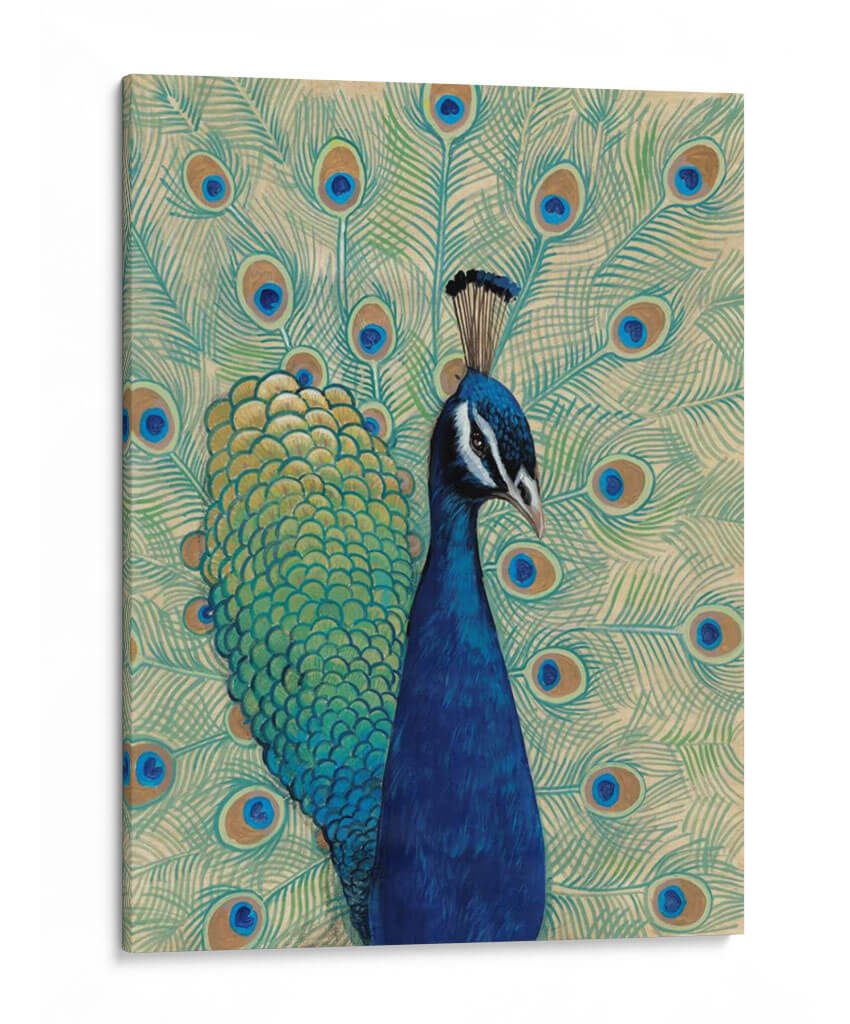Peacock Azul I - Tim OToole | Cuadro decorativo de Canvas Lab