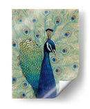 Peacock Azul I - Tim OToole | Cuadro decorativo de Canvas Lab