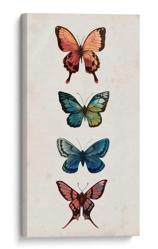 Estudio De Hadas I - Grace Popp | Cuadro decorativo de Canvas Lab