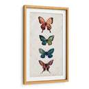 Estudio De Hadas I - Grace Popp | Cuadro decorativo de Canvas Lab