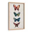 Estudio De Hadas I - Grace Popp | Cuadro decorativo de Canvas Lab