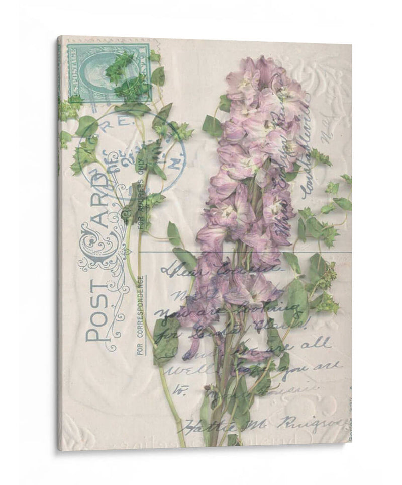 Postal Wildflowers I - Jennifer Goldberger | Cuadro decorativo de Canvas Lab