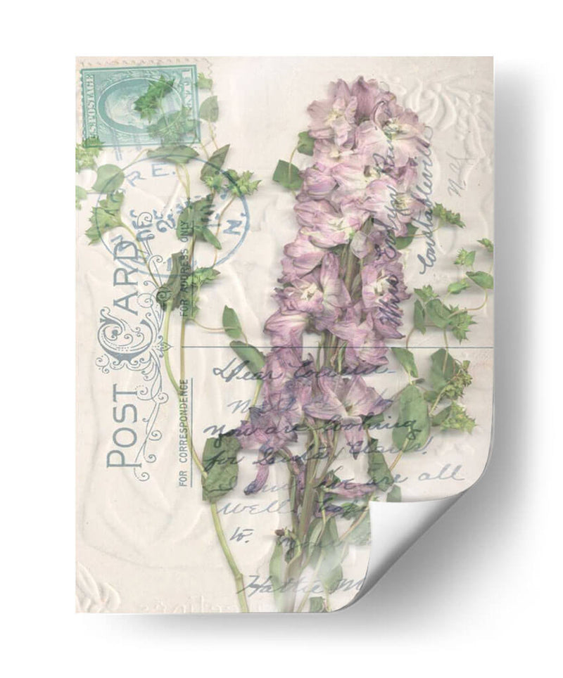 Postal Wildflowers I - Jennifer Goldberger | Cuadro decorativo de Canvas Lab