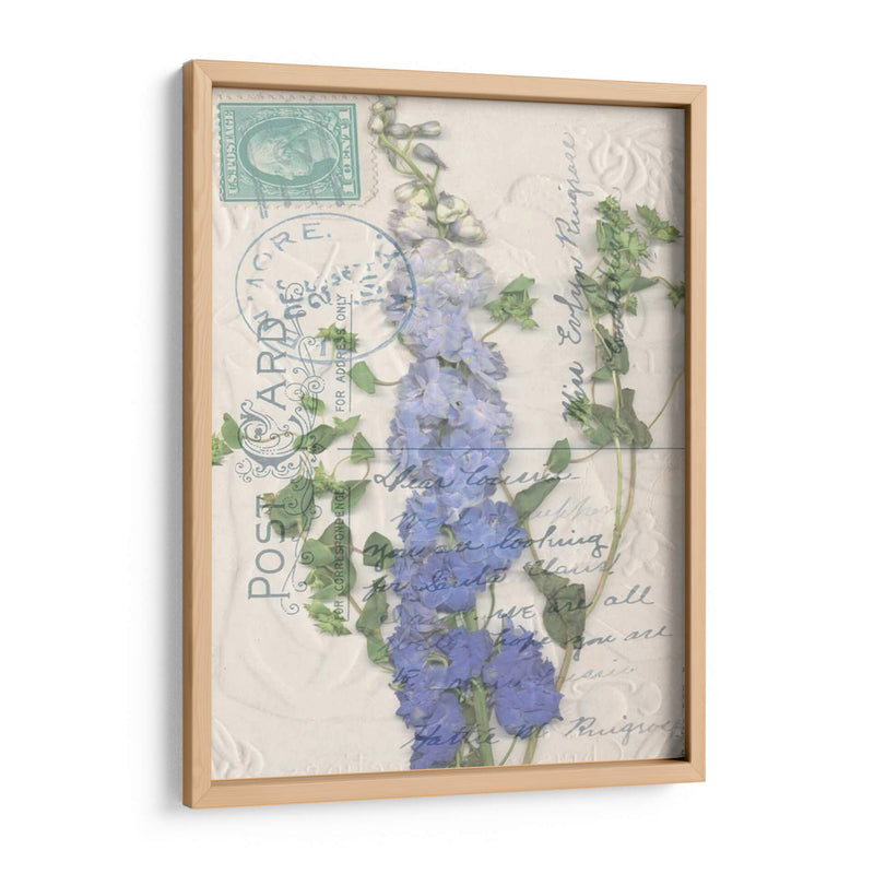 Postal Wildflowers Ii - Jennifer Goldberger | Cuadro decorativo de Canvas Lab