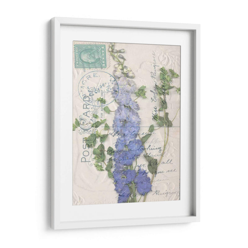 Postal Wildflowers Ii - Jennifer Goldberger | Cuadro decorativo de Canvas Lab