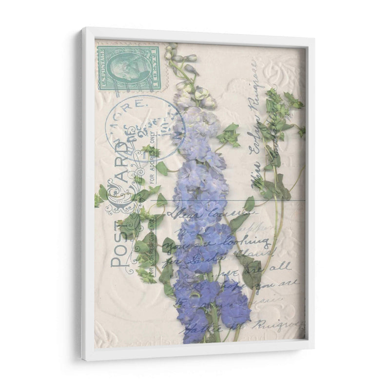 Postal Wildflowers Ii - Jennifer Goldberger | Cuadro decorativo de Canvas Lab