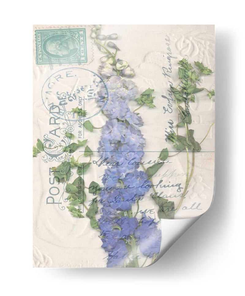 Postal Wildflowers Ii - Jennifer Goldberger | Cuadro decorativo de Canvas Lab