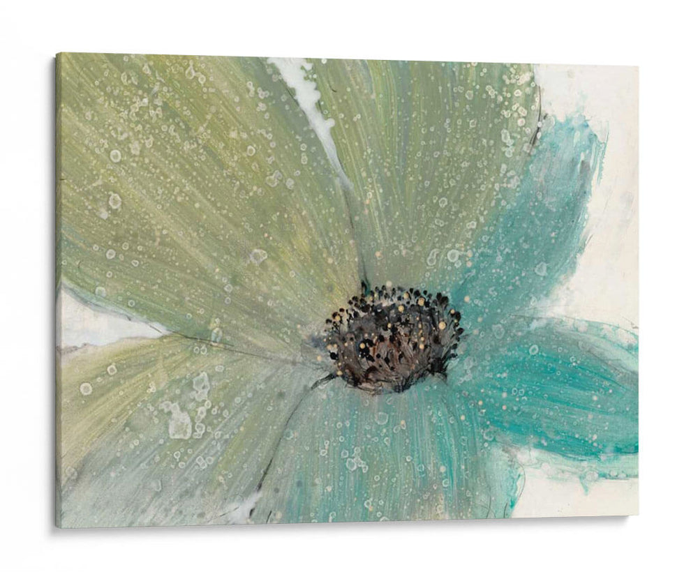 Espíritu Floral I - Tim OToole | Cuadro decorativo de Canvas Lab