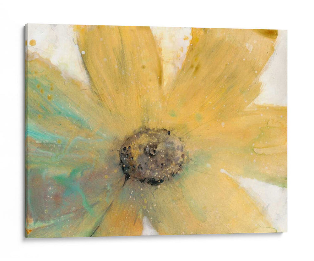 Espíritu Floral Ii - Tim OToole | Cuadro decorativo de Canvas Lab