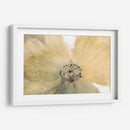 Espíritu Floral Iv - Tim OToole | Cuadro decorativo de Canvas Lab