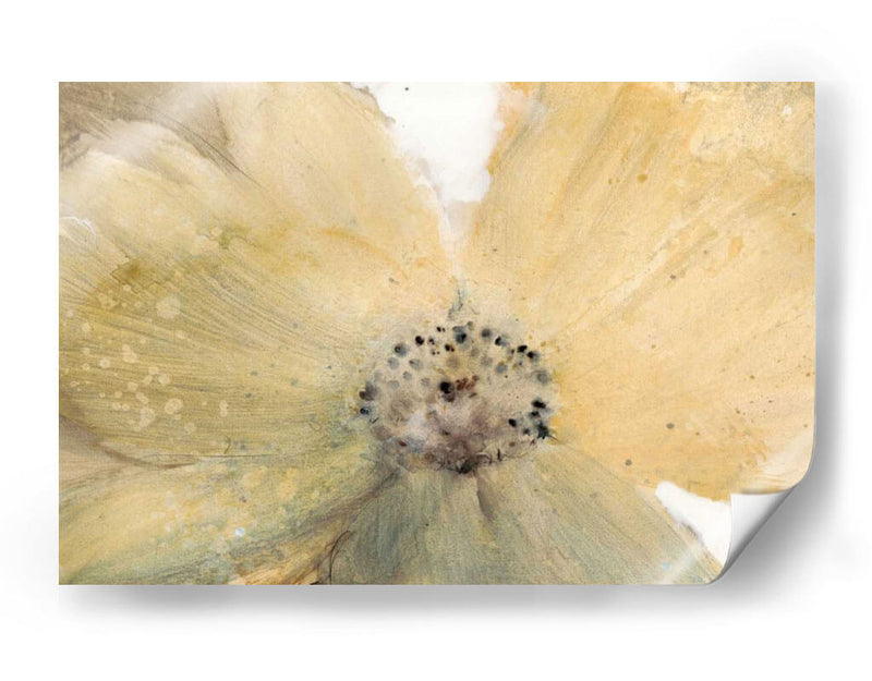 Espíritu Floral Iv - Tim OToole | Cuadro decorativo de Canvas Lab