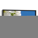 El vuelo de la abeja | Cuadro decorativo de Canvas Lab