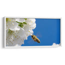 El vuelo de la abeja | Cuadro decorativo de Canvas Lab