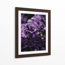 Emerger morado | Cuadro decorativo de Canvas Lab